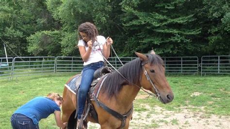xvideos horse|'horse' Search .